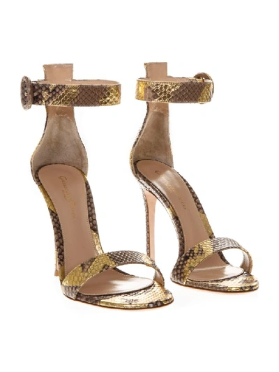 Shop Gianvito Rossi Portofino Python Leather Sandals In Gold/brown