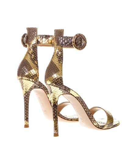 Shop Gianvito Rossi Portofino Python Leather Sandals In Gold/brown