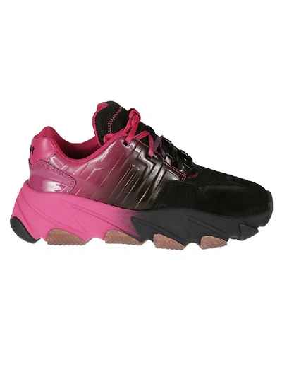 Shop Ash Extasy Sneakers In Black/degrade Fuxia