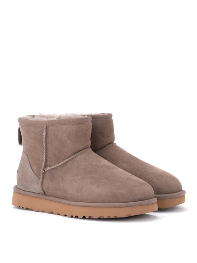 Shop Ugg Classic Ii Mini Boot In Taupe Color Sheepskin In Marrone