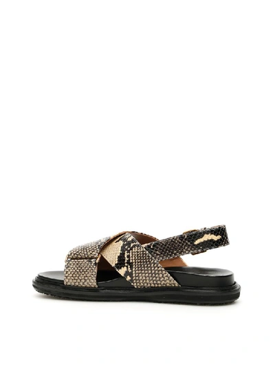 Shop Marni Python Printed Fussbett Sandals In Light Camel (beige)