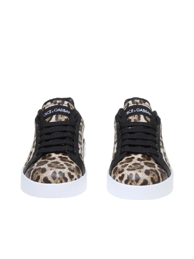 Shop Dolce & Gabbana Portofino Sneakers In Leopard Printed Calfskin In Brown