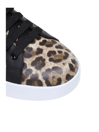 Shop Dolce & Gabbana Portofino Sneakers In Leopard Printed Calfskin In Brown