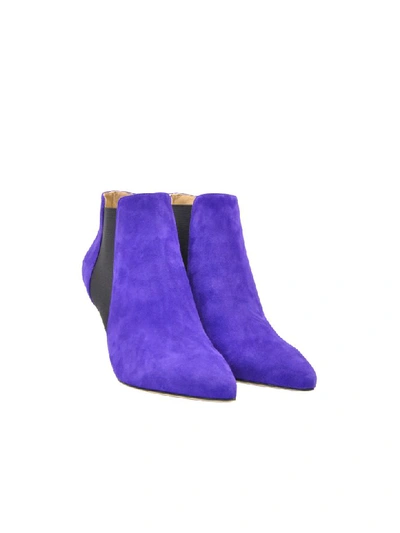 Shop Sergio Rossi Stivaletto Camoscio Viola