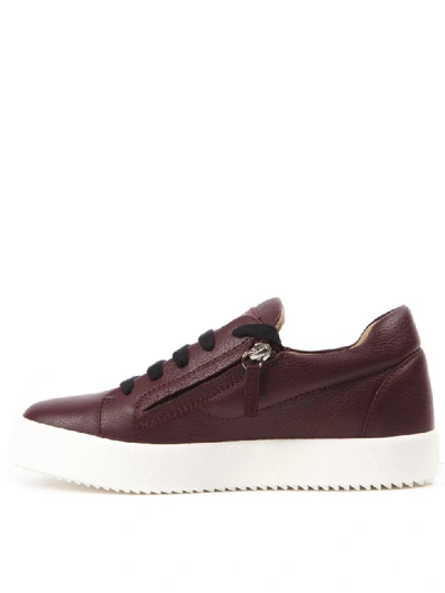 Shop Giuseppe Zanotti Burgundy Leather Addy Sneakers