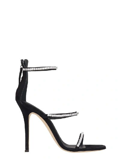 Shop Giuseppe Zanotti Sandals In Black Suede