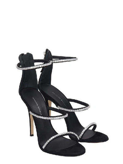 Shop Giuseppe Zanotti Sandals In Black Suede