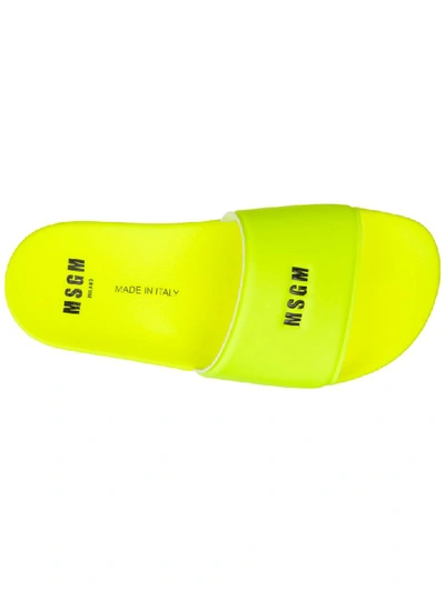 Shop Msgm Pool Slides In Giallo