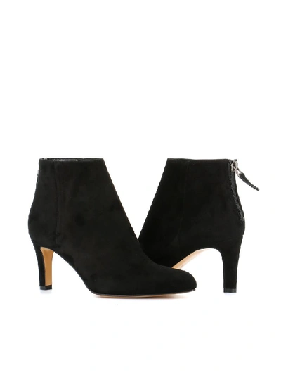 Shop Antonio Barbato Ankle Boots In Black