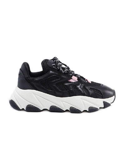 Shop Ash Sneaker In Blk/orchid/blk