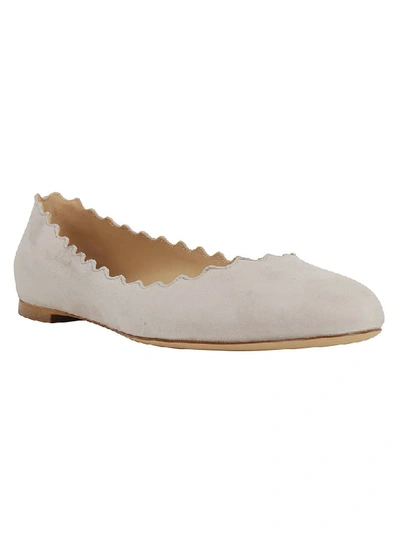 Shop Chloé Ballerinas In Elephant Grey