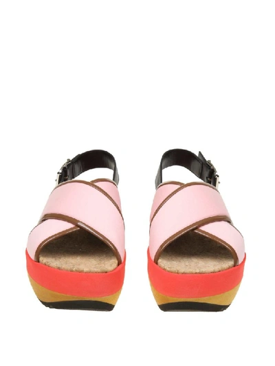 Shop Marni Sandal In Technical Color Pink