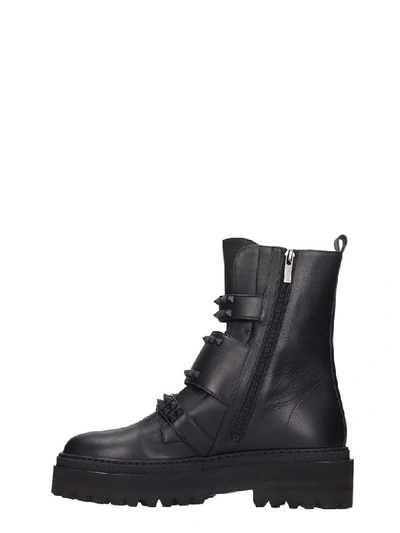 Shop Le Silla Combat Boots In Black Leather