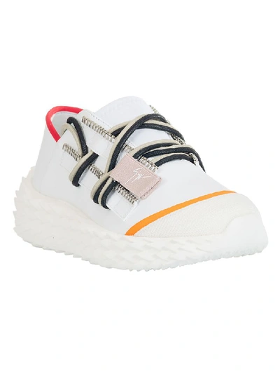 Shop Giuseppe Zanotti Urchin Sneakers In White/multicolor