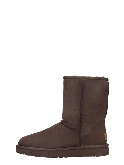 Shop Ugg Classic Short Low Heels Ankle Boots In Brown Suede