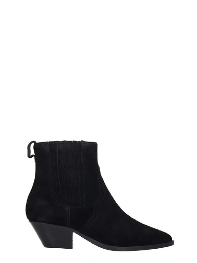 Shop Ash Future Low Heels Ankle Boots In Black Suede