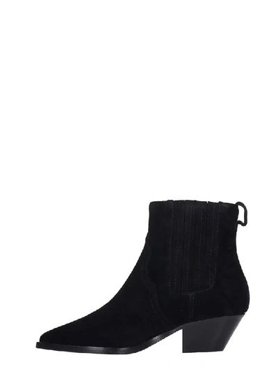 Shop Ash Future Low Heels Ankle Boots In Black Suede