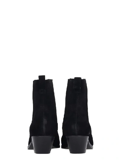 Shop Ash Future Low Heels Ankle Boots In Black Suede