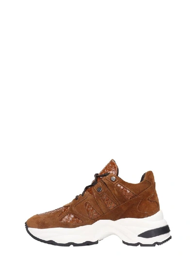 Shop Marc Ellis Sneakers In Leather Color Suede And Leather