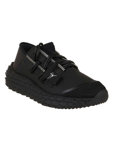 Shop Giuseppe Zanotti Sneakers In Nr Carlnr