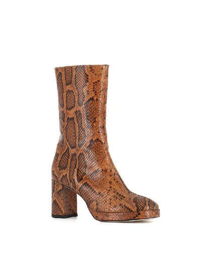 Shop Miista Ankle Boot Carlota In Python