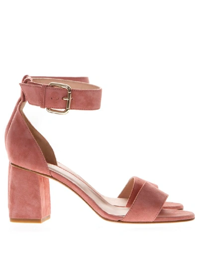 Shop Red Valentino 60mm Chunky Heel Rose Suede Sandals In Pink