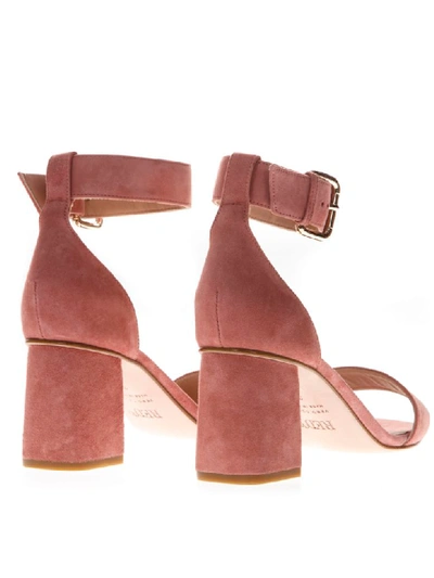 Shop Red Valentino 60mm Chunky Heel Rose Suede Sandals In Pink