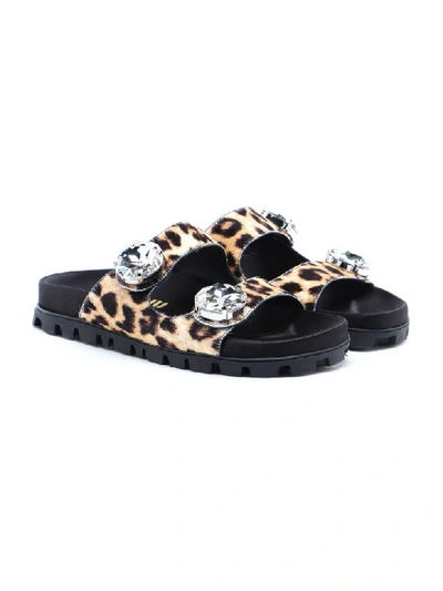 Shop Miu Miu Sandal Leo Print In Avorio