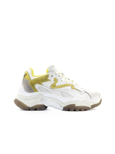 Shop Ash Addict White Yellow Sneaker In Bianco (white)