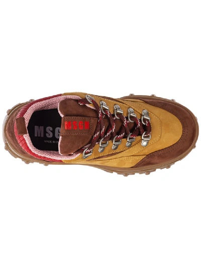 Shop Msgm Tractor Sneakers In Marrone