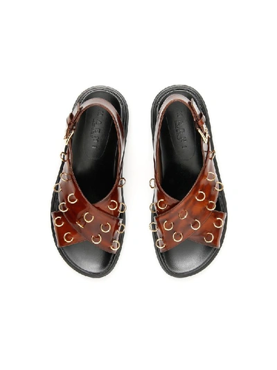 Shop Marni Piercing Fussbett Sandals In Moka (brown)