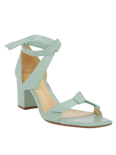 Shop Alexandre Birman Clarita Pumps In Pistacchio