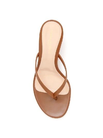 Shop Gianvito Rossi Calypso 70 Mules In Cuoio (brown)