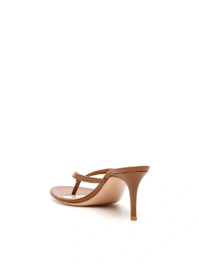 Shop Gianvito Rossi Calypso 70 Mules In Cuoio (brown)