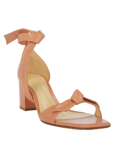 Shop Alexandre Birman Clarita Open Pumps In Cantaloupe