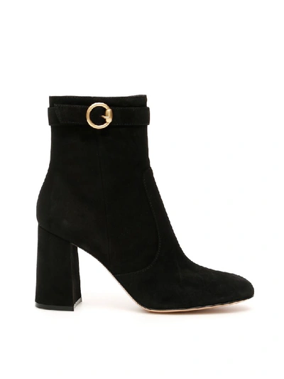 Shop Gianvito Rossi Suede Regent Booties In Black (black)