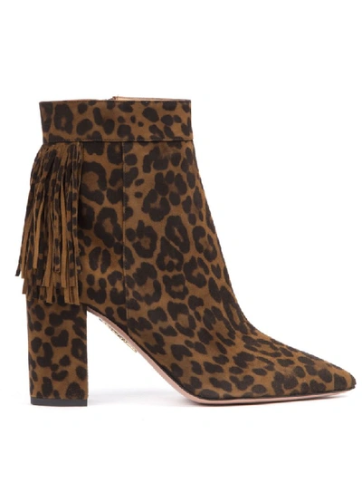 Shop Aquazzura Leopard Suede Leather Ankle Boots In Cinnamon