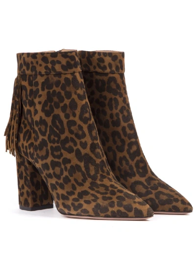 Shop Aquazzura Leopard Suede Leather Ankle Boots In Cinnamon
