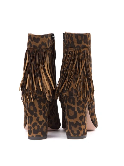 Shop Aquazzura Leopard Suede Leather Ankle Boots In Cinnamon