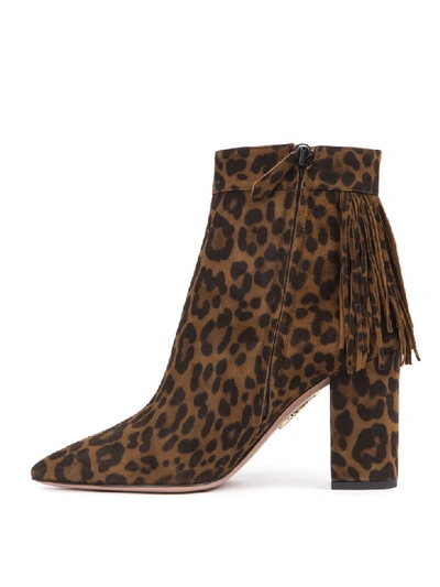 Shop Aquazzura Leopard Suede Leather Ankle Boots In Cinnamon