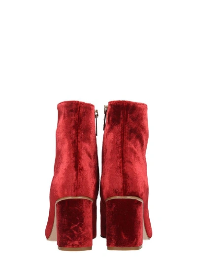 Shop Red Valentino High Heels Ankle Boots In Bordeaux Velvet