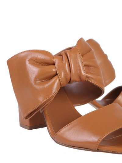 Shop Paris Texas Bow Mules In Marrone