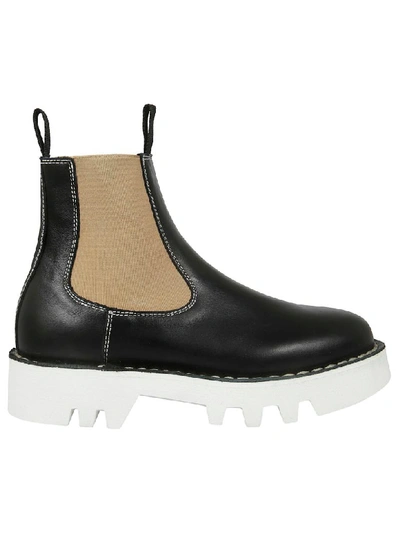 Shop Sofie D'hoore Foal Ankle Boots In Black