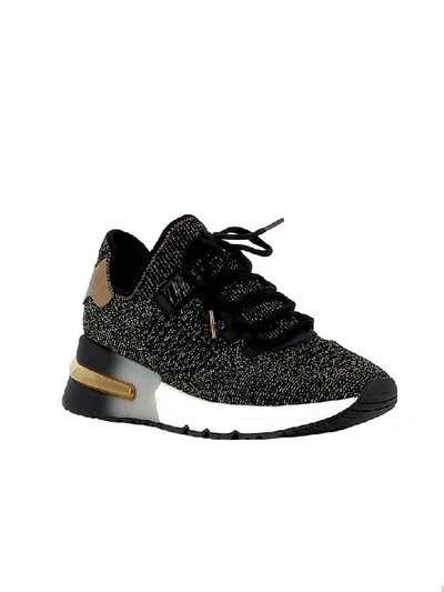 Shop Ash Black/gold Fabric Sneakers