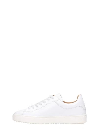 Shop See By Chloé Essie Sneakers In White Leather