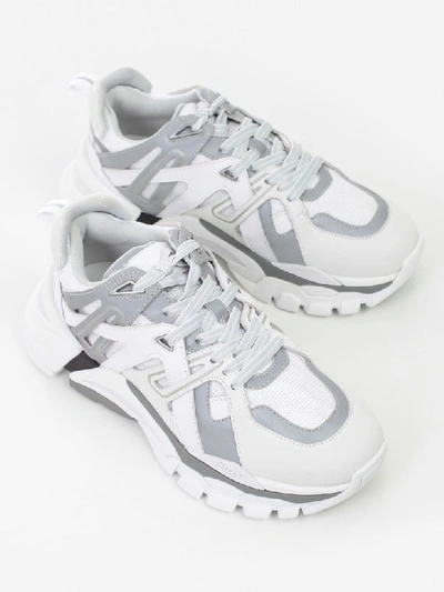 Shop Ash Sneakers Aerodynamic Sole In White Silver White