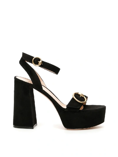 Shop Gianvito Rossi Suede Platform Sandals In Black (black)