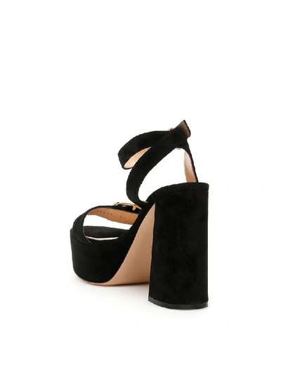 Shop Gianvito Rossi Suede Platform Sandals In Black (black)