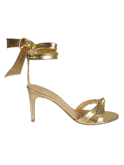 Shop Alexandre Birman Wrap Tie Heeled Sandals In Gold