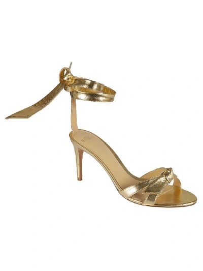 Shop Alexandre Birman Wrap Tie Heeled Sandals In Gold